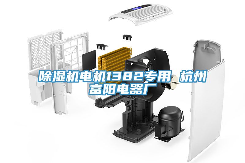 亚洲欧美一级特黄大片 除湿机电机1382专用 杭州富阳电器厂