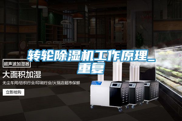 亚洲人成综合第一网站 转轮除湿机工作原理_重复