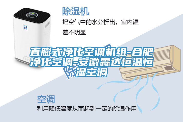 亚洲乱码一区二区三区 直膨式净化空调机组-合肥净化空调-安徽霖达恒温恒湿空调