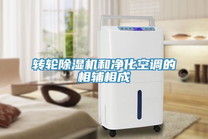 亚洲人成综合第一网站 转轮除湿机和净化空调的相辅相成