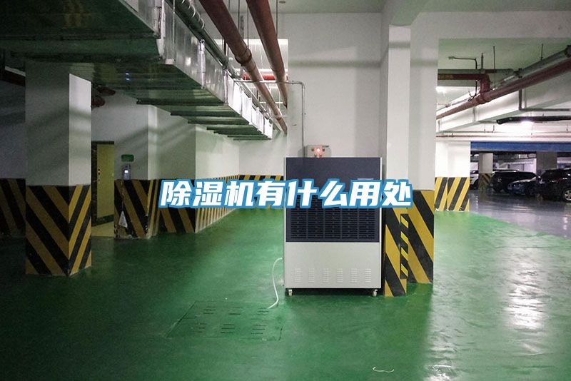 亚洲乱码一区二区三区 除湿机有什么用处