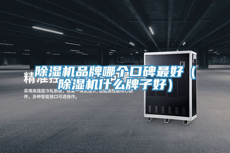 亚洲欧美一级特黄大片 除湿机品牌哪个口碑最好（除湿机什么牌子好）