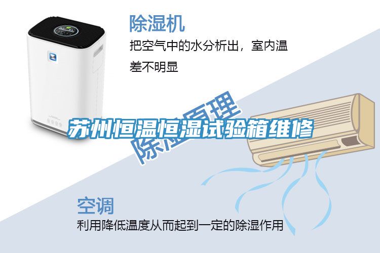 亚洲人成综合第一网站 苏州恒温恒湿试验箱维修