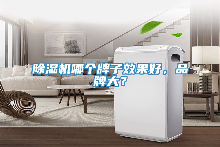 亚洲乱码一区二区三区 除湿机哪个牌子效果好，品牌大？