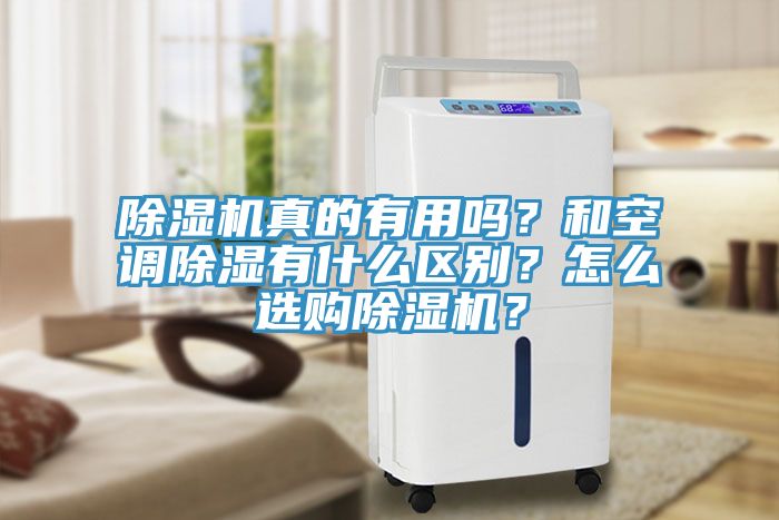 亚洲乱码一区二区三区 除湿机真的有用吗？和空调除湿有什么区别？怎么选购除湿机？