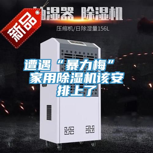 亚洲人成综合第一网站 遭遇“暴力梅” 家用除湿机该安排上了