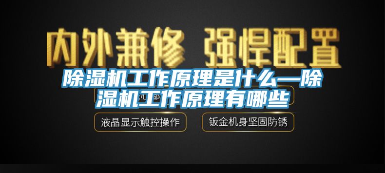 亚洲乱码一区二区三区 除湿机工作原理是什么—除湿机工作原理有哪些