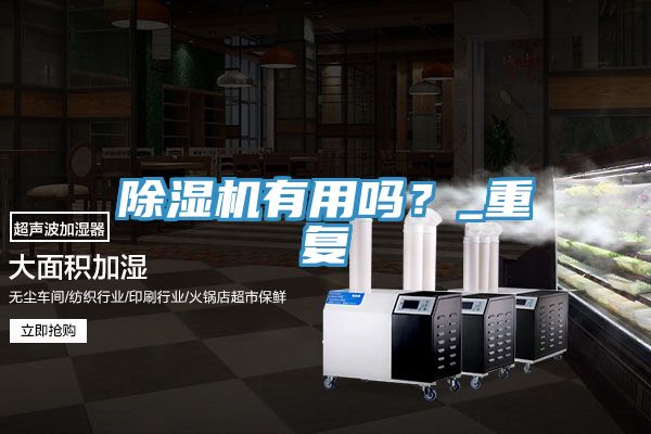 亚洲欧美一级特黄大片 除湿机有用吗？_重复
