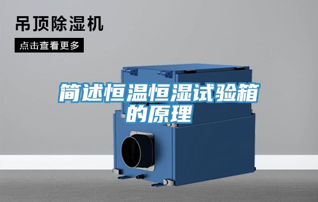 亚洲欧美一级特黄大片 简述恒温恒湿试验箱的原理