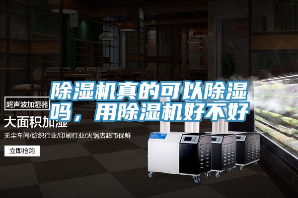 亚洲乱码一区二区三区 除湿机真的可以除湿吗，用除湿机好不好