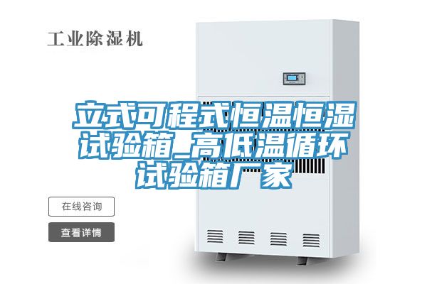 亚洲人成综合第一网站 立式可程式恒温恒湿试验箱_高低温循环试验箱厂家
