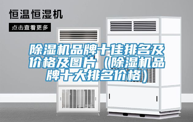 亚洲欧美一级特黄大片 除湿机品牌十佳排名及价格及图片（除湿机品牌十大排名价格）