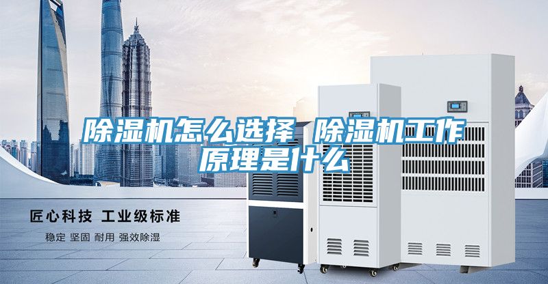 亚洲欧美一级特黄大片 除湿机怎么选择 除湿机工作原理是什么