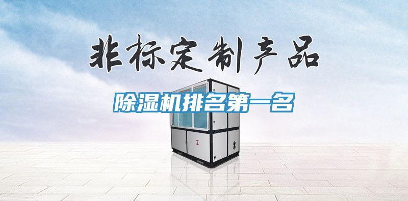 亚洲人成综合第一网站 除湿机排名第一名