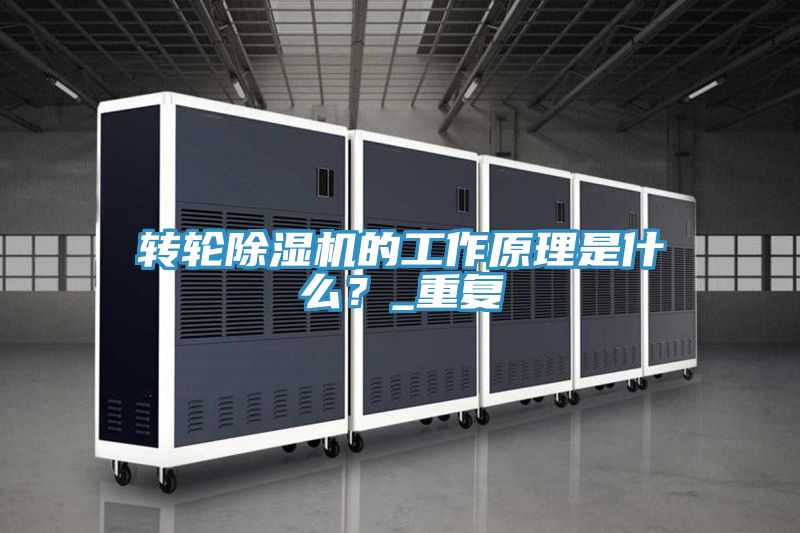 亚洲欧美一级特黄大片 转轮除湿机的工作原理是什么？_重复