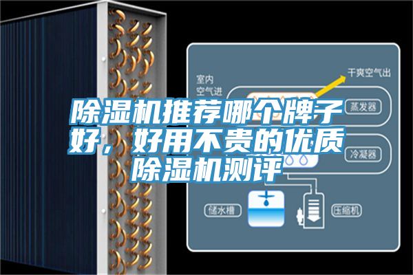 亚洲人成综合第一网站 除湿机推荐哪个牌子好，好用不贵的优质除湿机测评