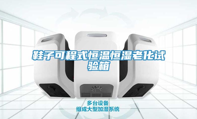 亚洲欧美一级特黄大片 鞋子可程式恒温恒湿老化试验箱