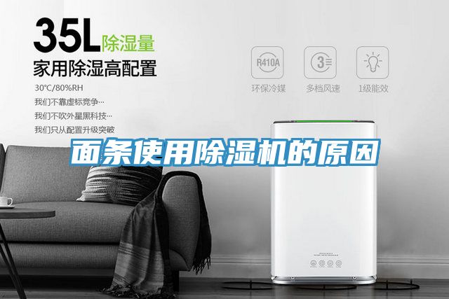 亚洲乱码一区二区三区 面条使用除湿机的原因