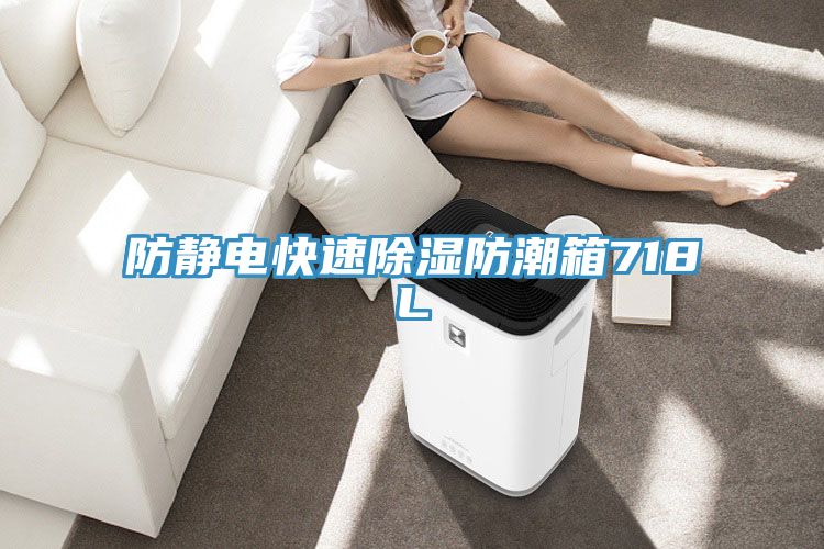 亚洲欧美一级特黄大片 防静电快速除湿防潮箱718L