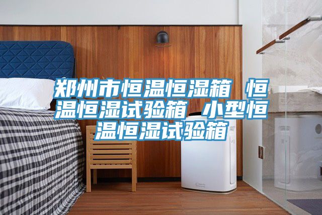 亚洲乱码一区二区三区 郑州市恒温恒湿箱 恒温恒湿试验箱 小型恒温恒湿试验箱