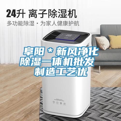亚洲人成综合第一网站 阜阳＊新风净化除湿一体机批发 制造工艺优