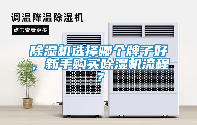 亚洲欧美一级特黄大片 除湿机选择哪个牌子好，新手购买除湿机流程？