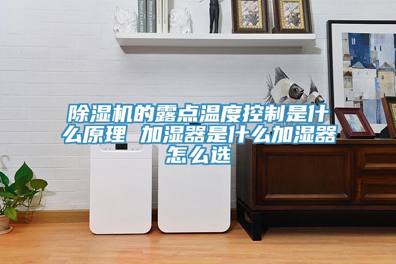 亚洲人成综合第一网站 除湿机的露点温度控制是什么原理 加湿器是什么加湿器怎么选