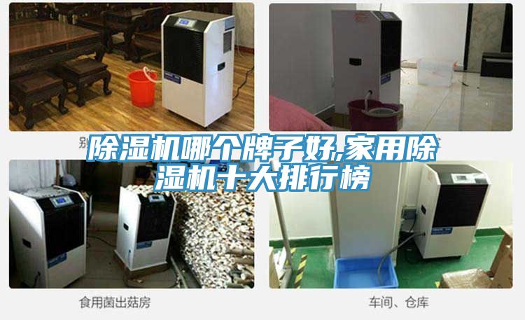 亚洲欧美一级特黄大片 除湿机哪个牌子好,家用除湿机十大排行榜