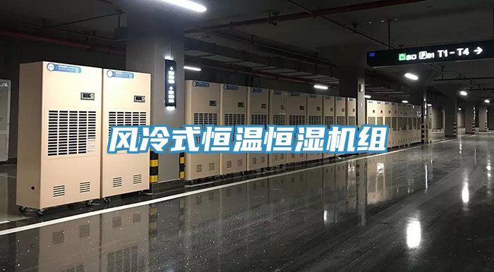 亚洲欧美一级特黄大片 风冷式恒温恒湿机组