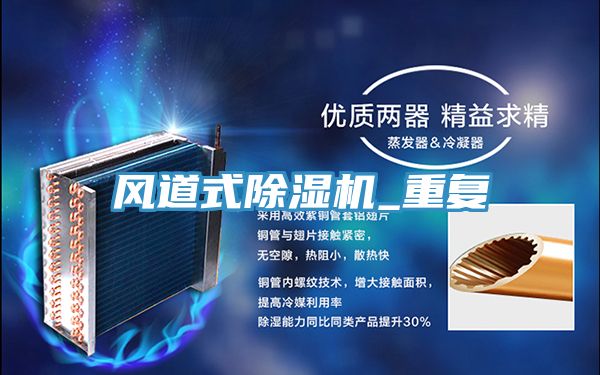 亚洲人成综合第一网站 风道式除湿机_重复