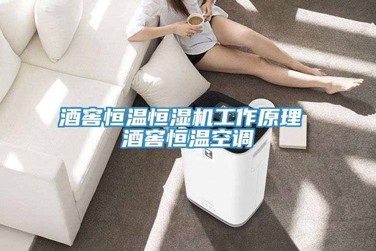 亚洲乱码一区二区三区 酒窖恒温恒湿机工作原理 酒窖恒温空调