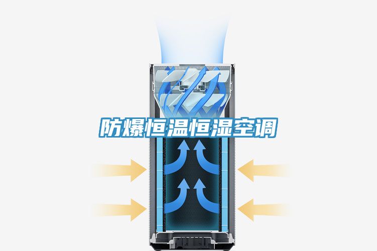 亚洲欧美一级特黄大片 防爆恒温恒湿空调