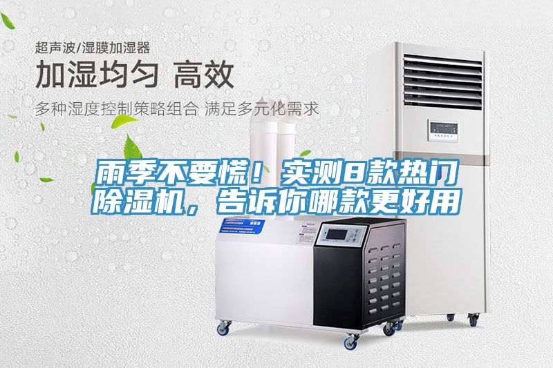 亚洲欧美一级特黄大片 雨季不要慌！实测8款热门除湿机，告诉你哪款更好用