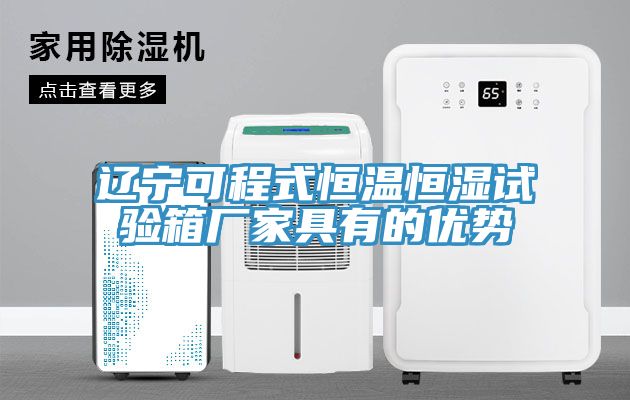 亚洲人成综合第一网站 辽宁可程式恒温恒湿试验箱厂家具有的优势