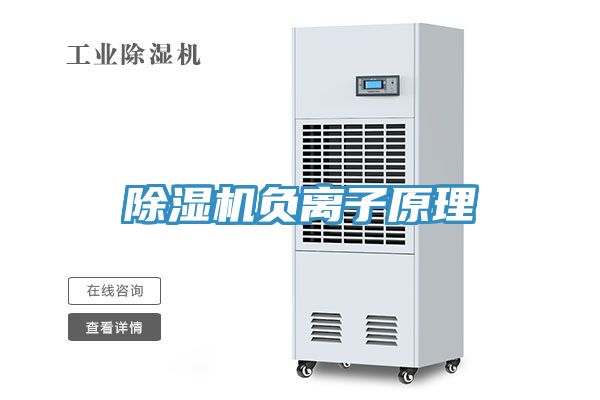 亚洲欧美一级特黄大片 除湿机负离子原理