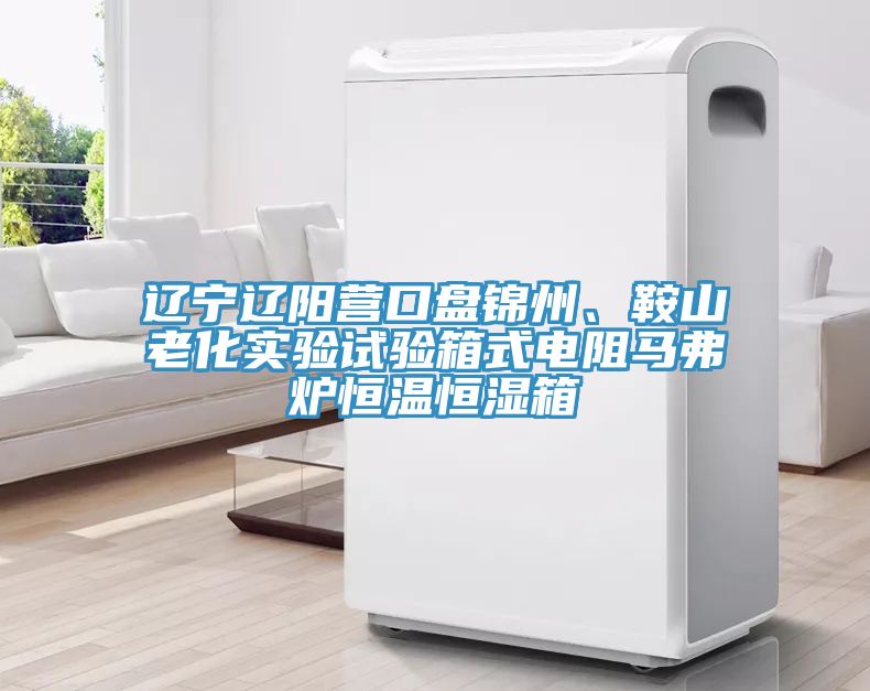 亚洲乱码一区二区三区 辽宁辽阳营口盘锦州、鞍山老化实验试验箱式电阻马弗炉恒温恒湿箱