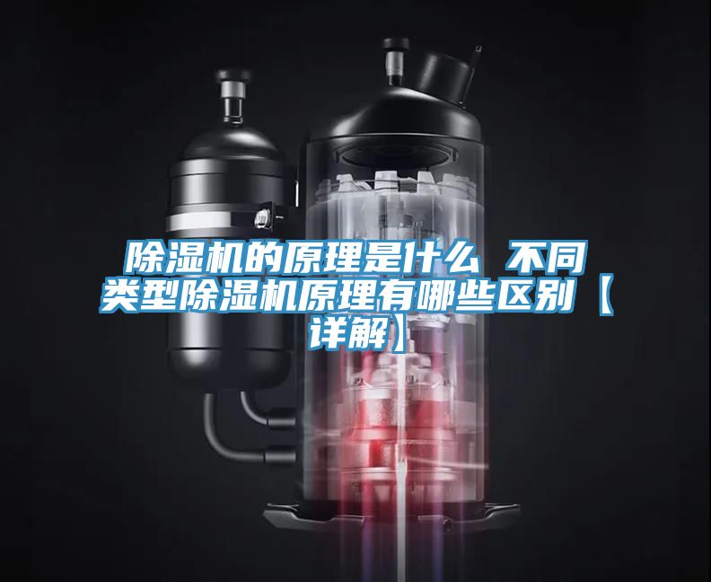 亚洲欧美一级特黄大片 除湿机的原理是什么 不同类型除湿机原理有哪些区别【详解】