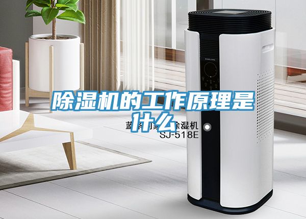 亚洲乱码一区二区三区 除湿机的工作原理是什么