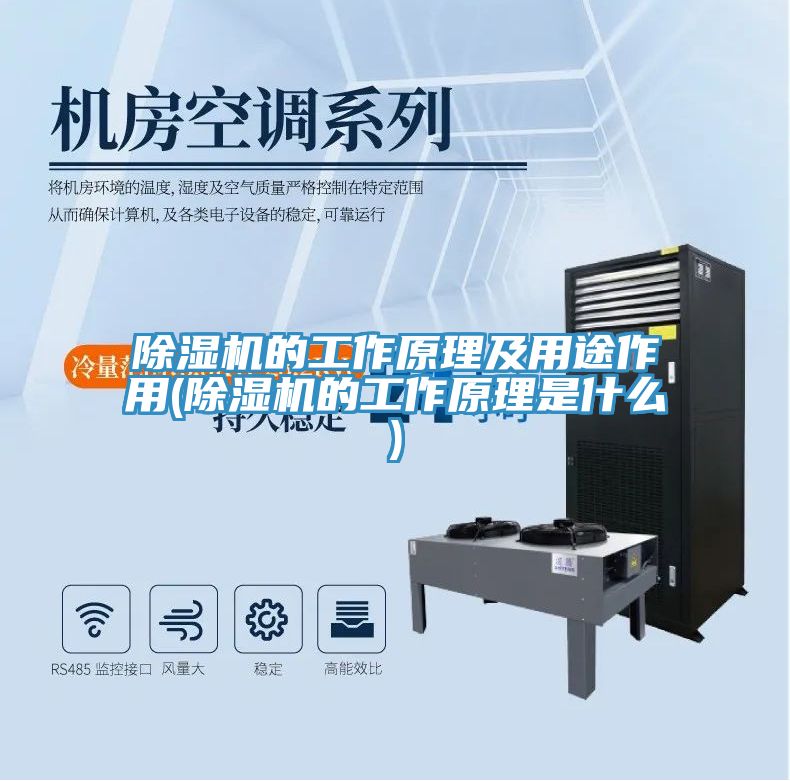 亚洲人成综合第一网站 除湿机的工作原理及用途作用(除湿机的工作原理是什么)
