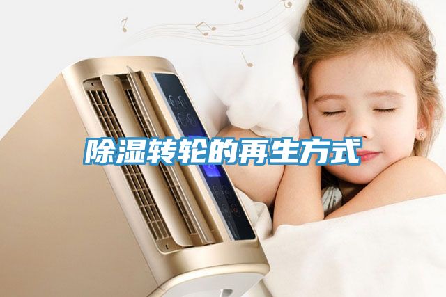 亚洲人成综合第一网站 除湿转轮的再生方式