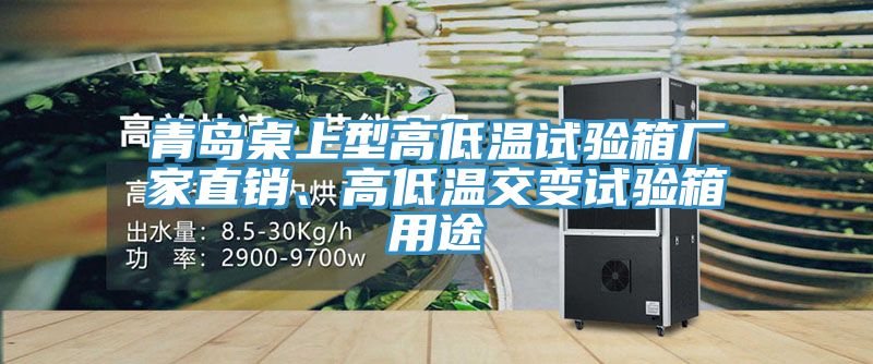 亚洲欧美一级特黄大片 青岛桌上型高低温试验箱厂家直销、高低温交变试验箱用途