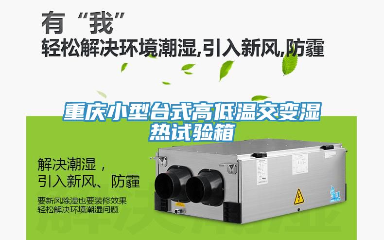 亚洲欧美一级特黄大片 重庆小型台式高低温交变湿热试验箱