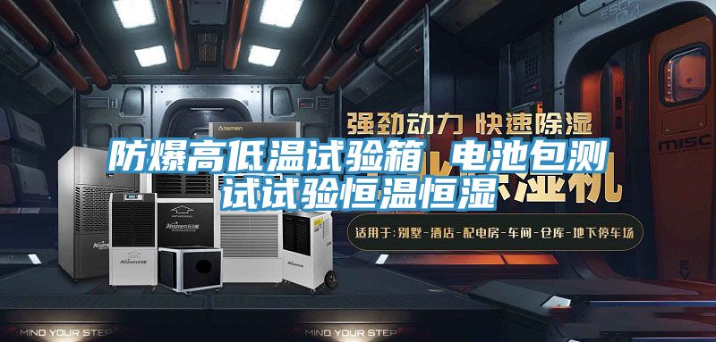 亚洲人成综合第一网站 防爆高低温试验箱 电池包测试试验恒温恒湿
