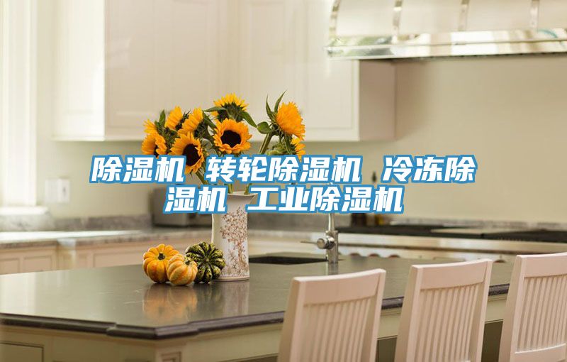 亚洲人成综合第一网站 除湿机 转轮除湿机 冷冻除湿机 工业除湿机