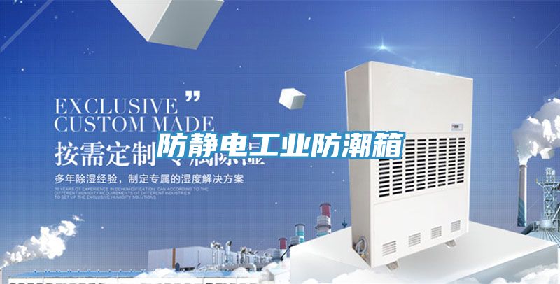 亚洲乱码一区二区三区 防静电工业防潮箱