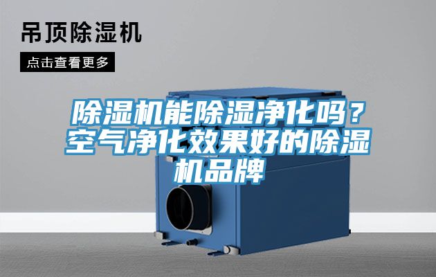 亚洲人成综合第一网站 除湿机能除湿净化吗？空气净化效果好的除湿机品牌
