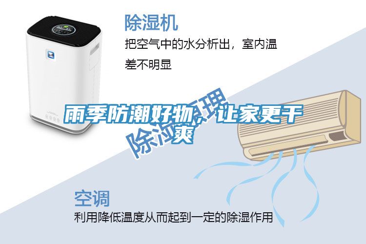 亚洲人成综合第一网站 雨季防潮好物，让家更干爽