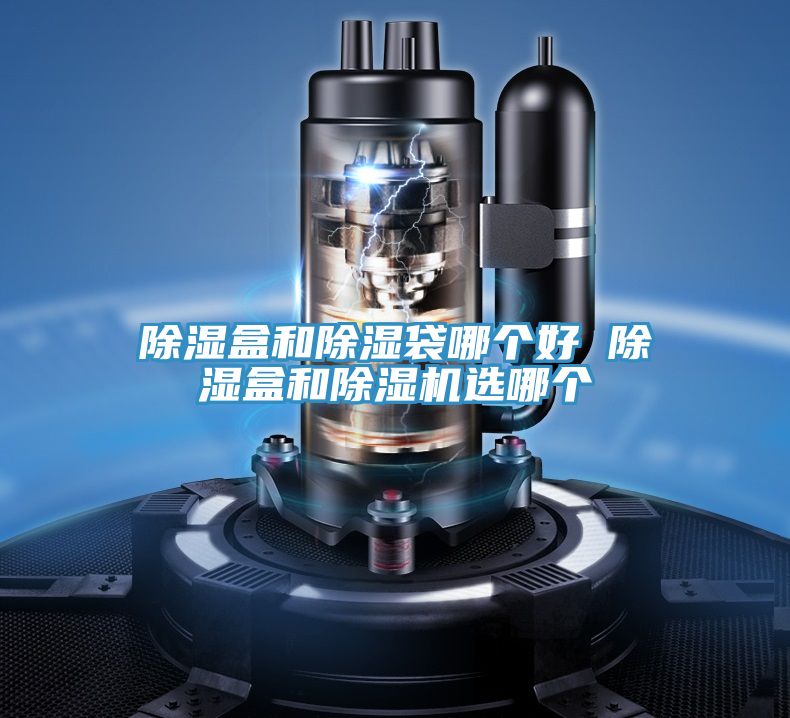 亚洲人成综合第一网站 除湿盒和除湿袋哪个好 除湿盒和除湿机选哪个