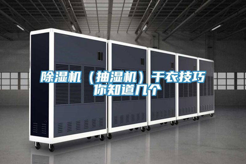 亚洲欧美一级特黄大片 除湿机（抽湿机）干衣技巧 你知道几个