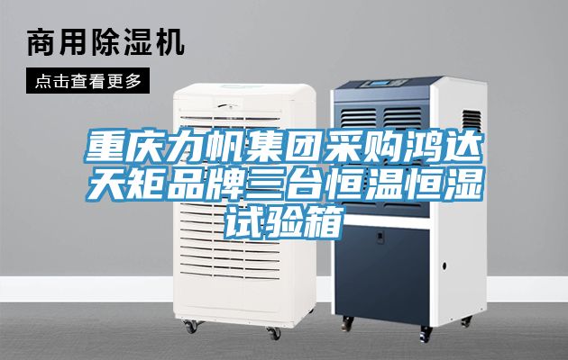 亚洲欧美一级特黄大片 重庆力帆集团采购鸿达天矩品牌三台恒温恒湿试验箱